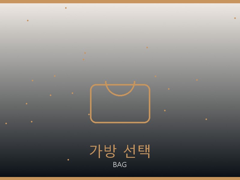 보테가 올인 BB S급 가방 선택 가이드