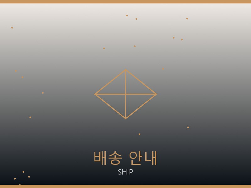 보테가 올인 BB S급 배송 이용 안내