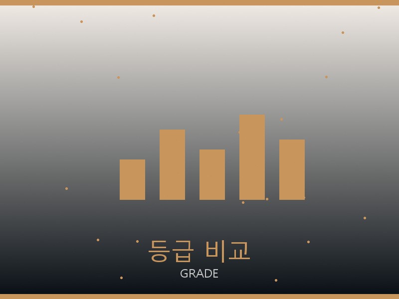 보테가 올인 BB S급 등급 기준 비교