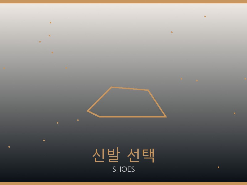 보테가 올인 BB S급 신발 선택 가이드