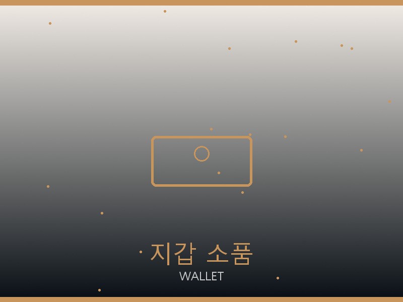 보테가 올인 BB S급 지갑·소품 관리
